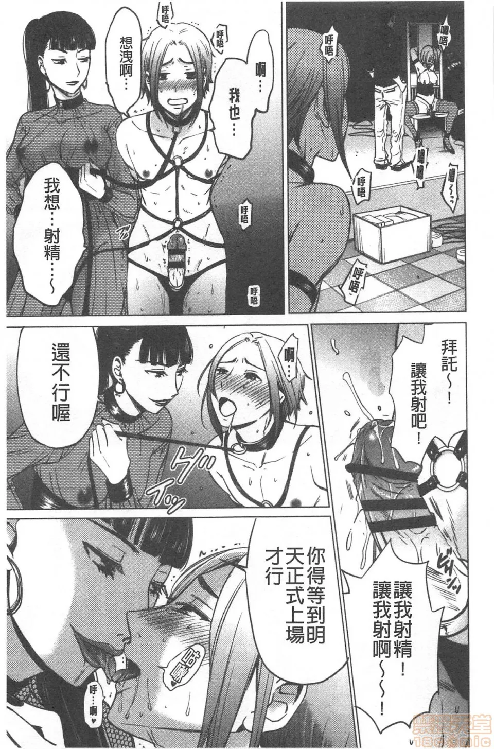 日本漫画大全无彩翼漫画21时の女~カメラの前の牝犬2~