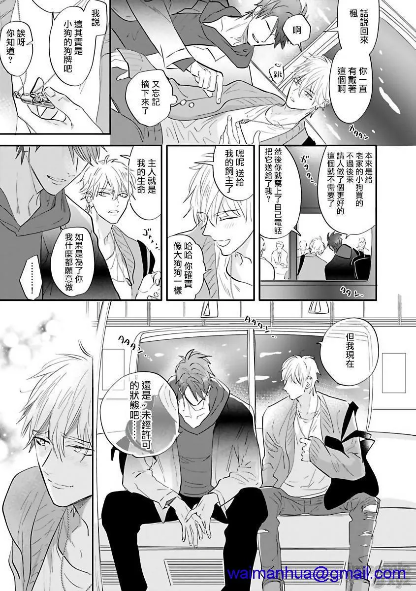 无翼乌工口里番无色无遮挡艳舞荒诞夜バーレスクナイト