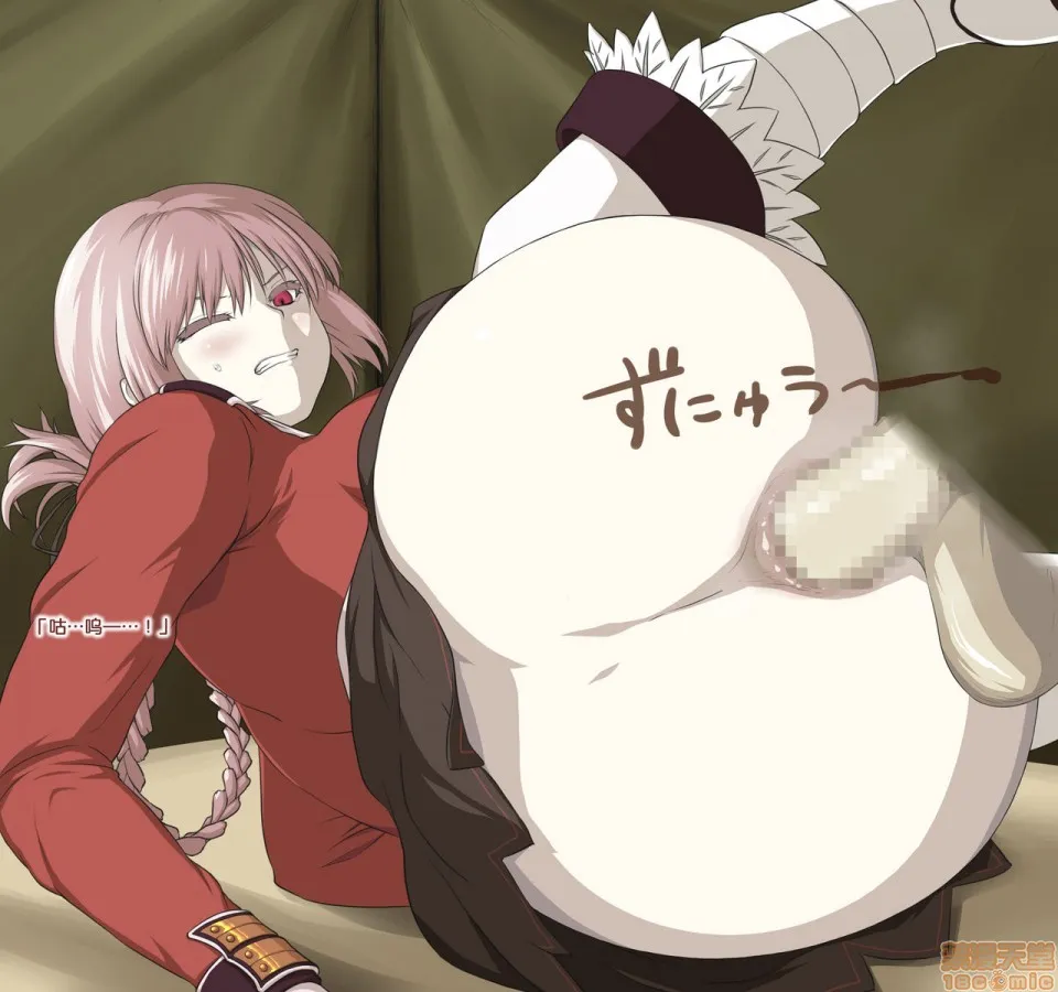 全彩无翼乌邪恶道邪恶帝妇长さん(FateGrandOrder)