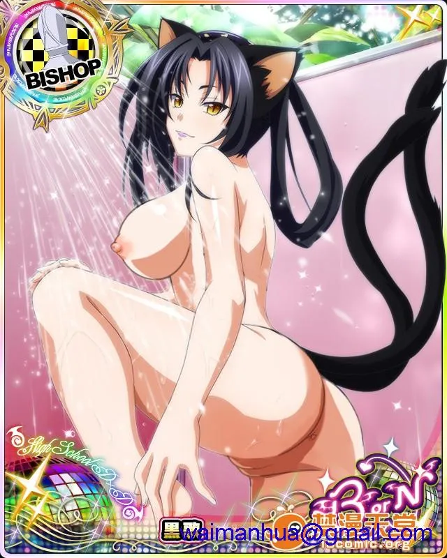 无翼乌邪恶工番口番邪恶HighschoolDxDMobageCards(18)